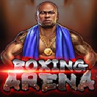 Boxing Arena-DREAMTECH GAMING