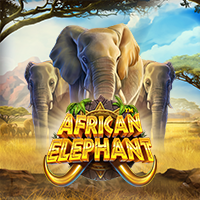 African Elephant-Pragmatic Play